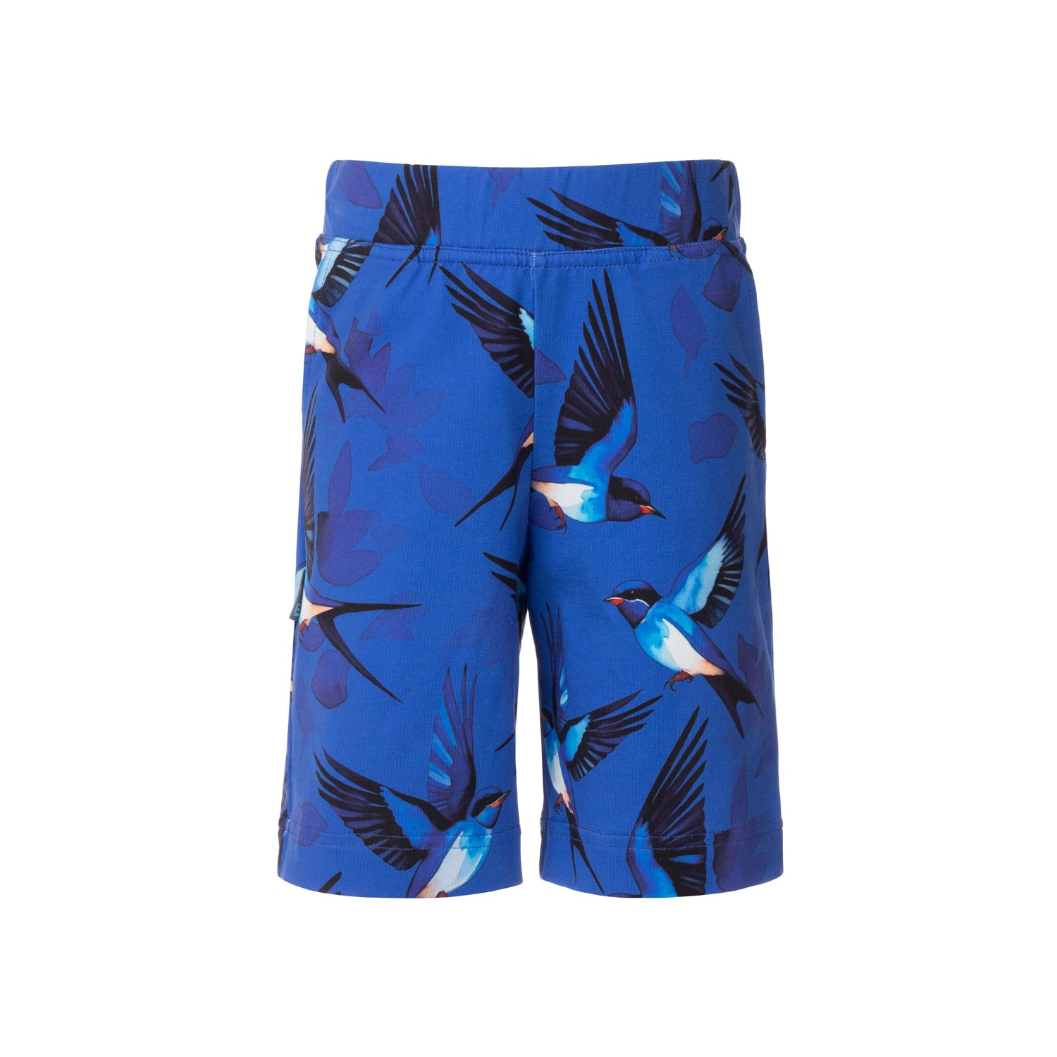 Lühikesed püksid - pilt 2