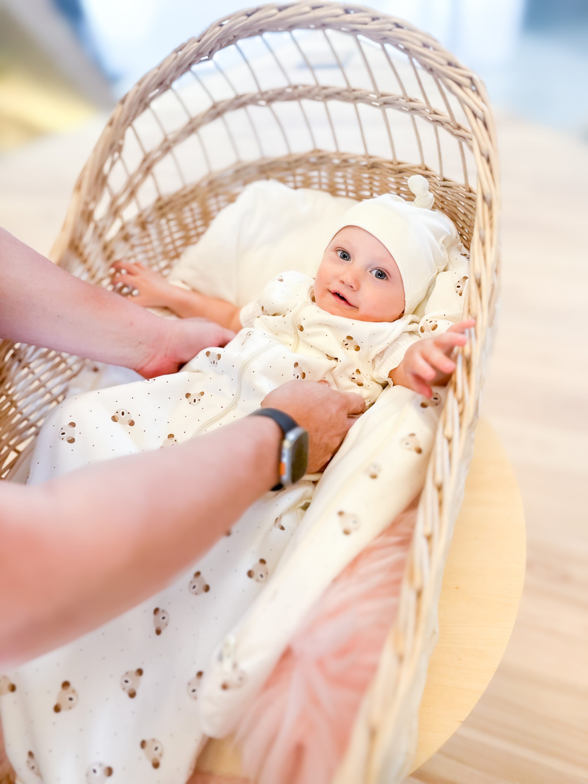 Sleeping Bag 2.5 TOG - Image 4